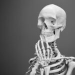 What Is Translation in Anatomy: 7 Proven Tips to Avoid Costly Mistakes