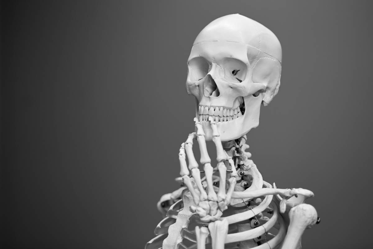 What Is Translation in Anatomy: 7 Proven Tips to Avoid Costly Mistakes